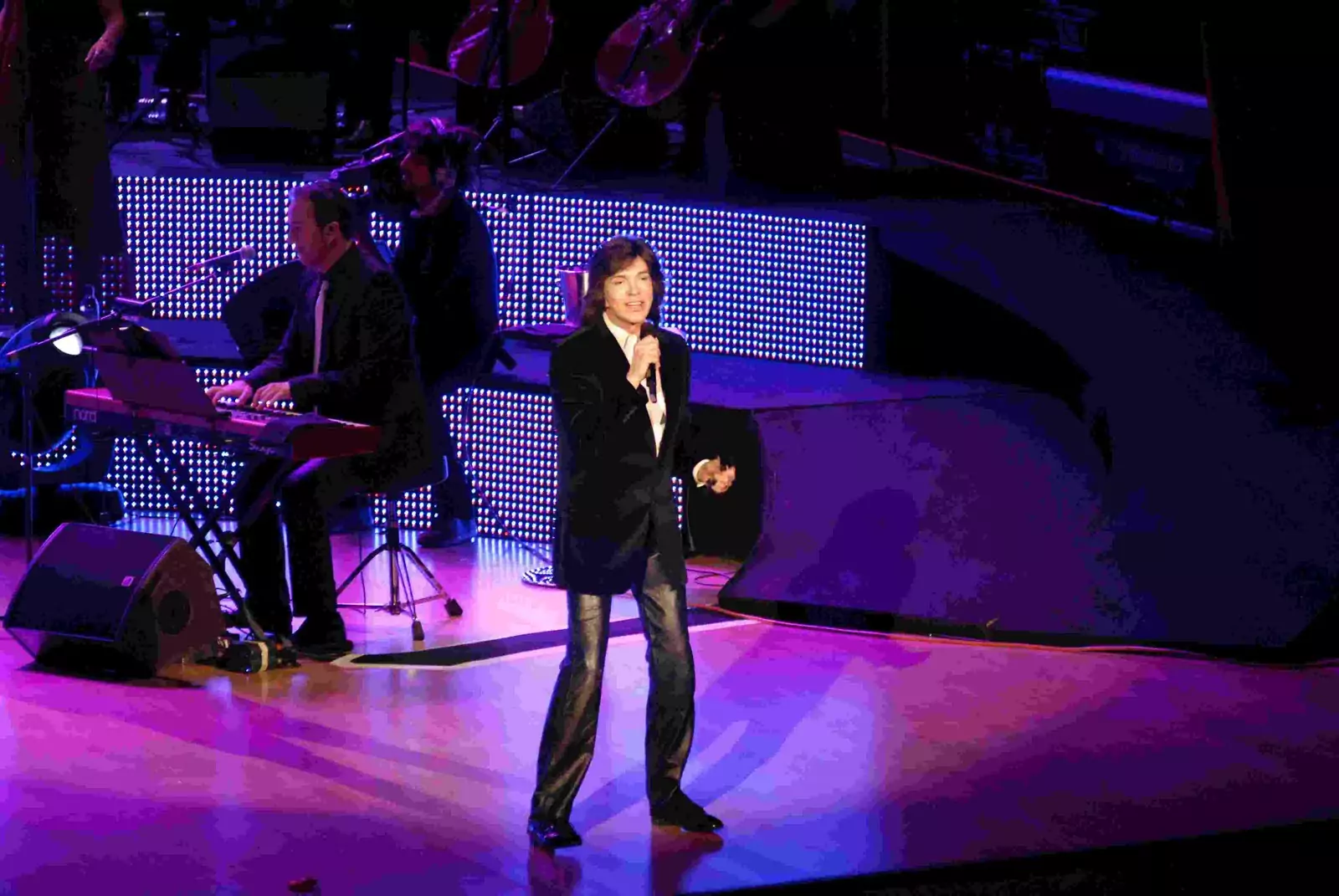 Último concierto de Camilo Sesto en Madrid en 2010