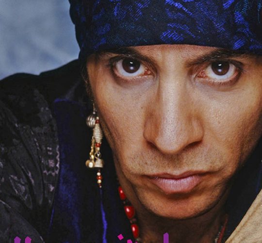 steve van zandt autobiografía
