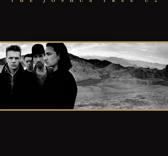 the joshua tree