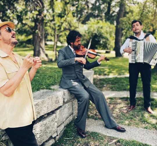 coque malla fetén fetén