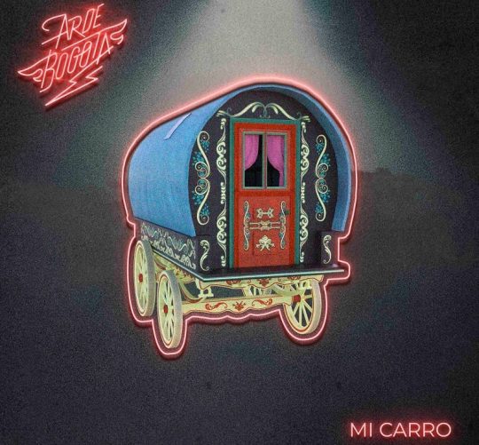 arde bogotá carro