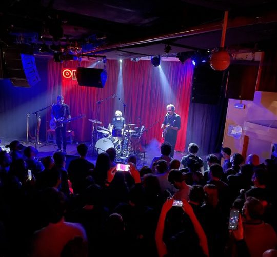 havalina sala el sol