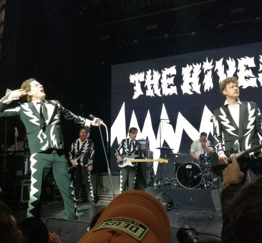 the hives valladolid