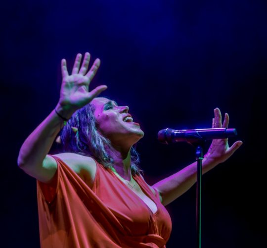 pink martini botánico