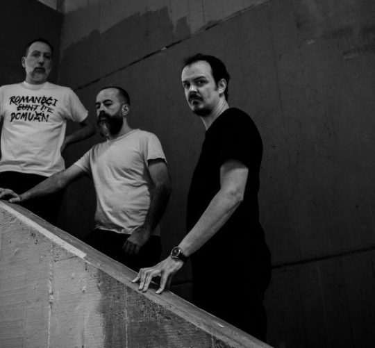 havalina nuevo disco