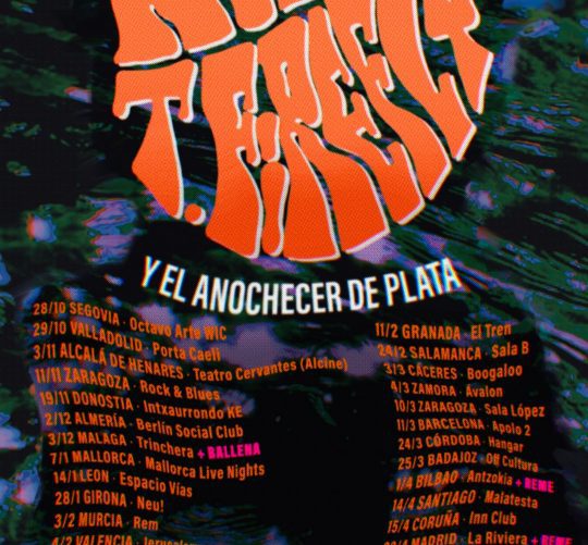 rufus t firefly conciertos