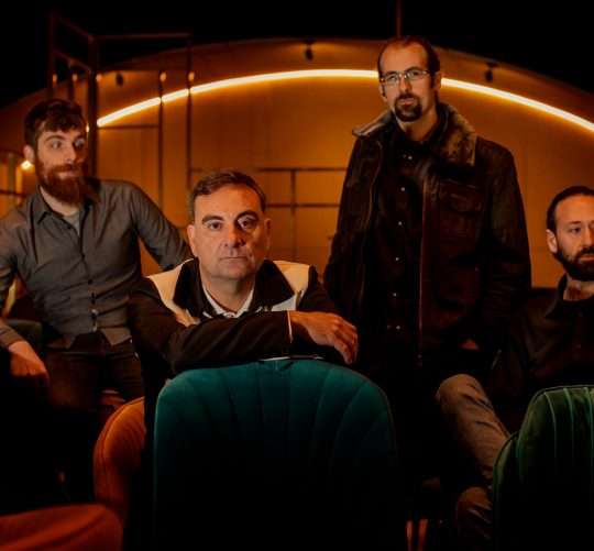 falsantes entrevista