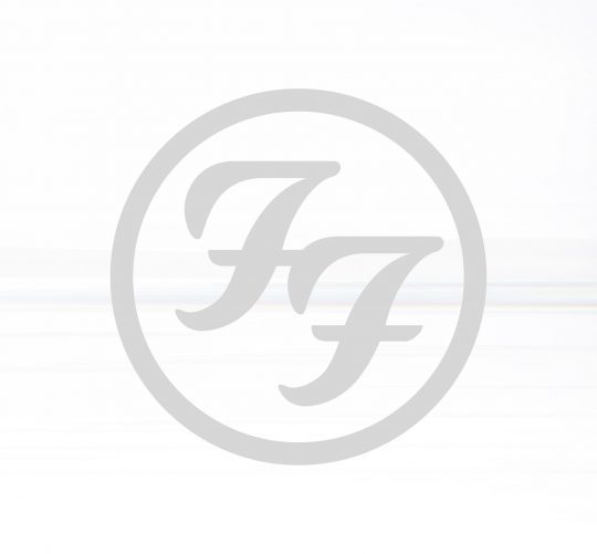 foo fighters nuevo disco