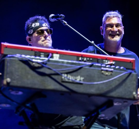 vive latino zaragoza calamaro