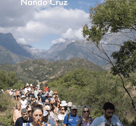 Ya está disponible en las librerías el nuevo libro de Nando Cruz, 'Microfestivales y otros escenarios posibles', editado por Sílex Ediciones