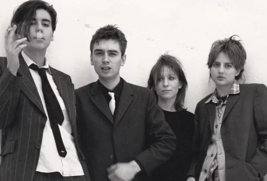 Elastica en 2026